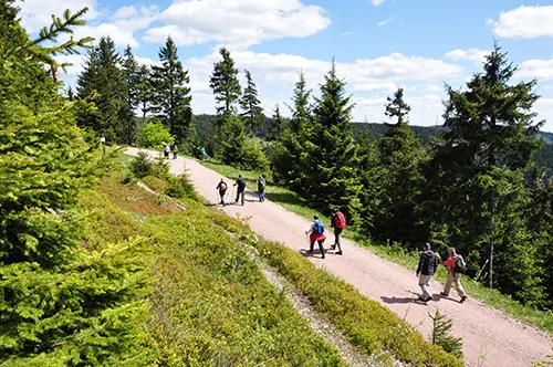 Wanderparadies Thüringer Wald